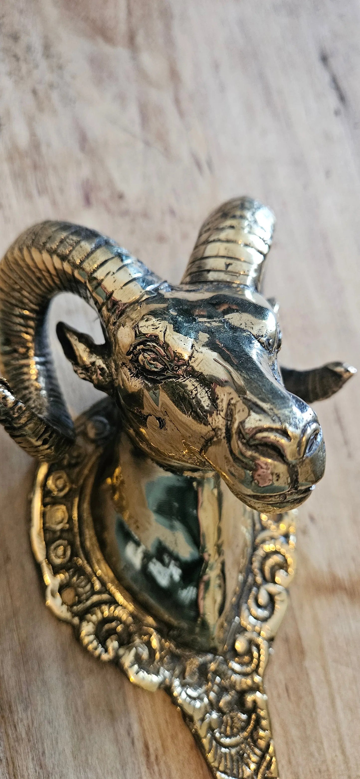 Crochet / Patère Murale Tête de Bélier Tokolausanne