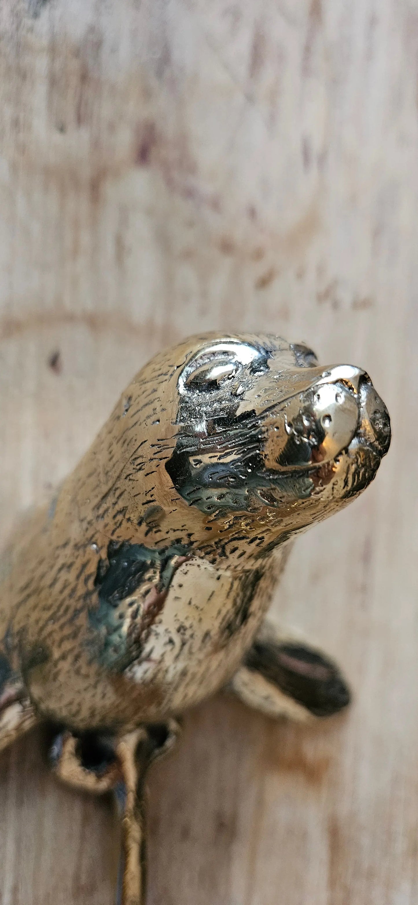 Crochet / Patère Murale "Phoque" en Bronze Tokolausanne
