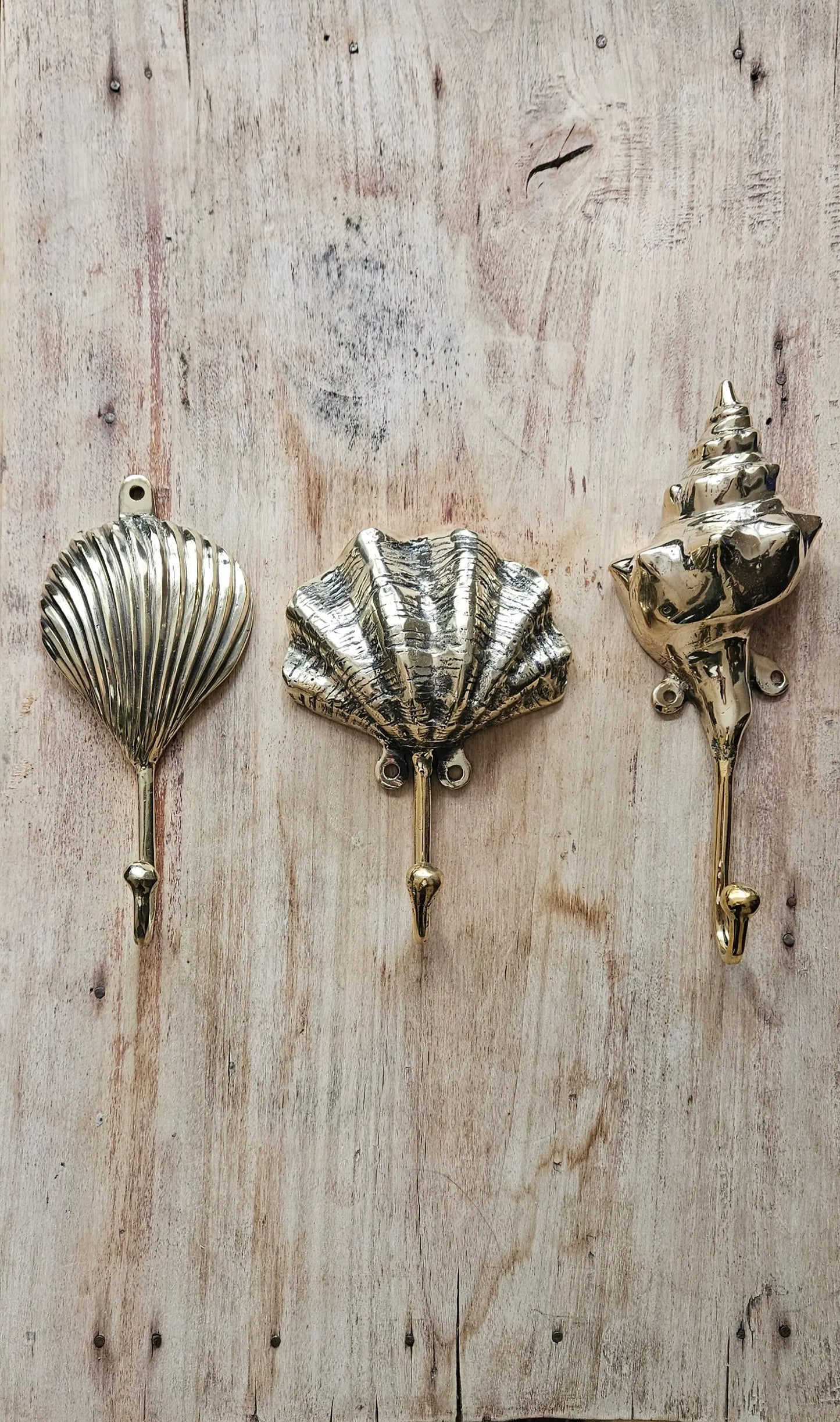 Lot de 3 Patères Coquillages en Bronze - Crochets Décoratifs Maritimes Tokolausanne
