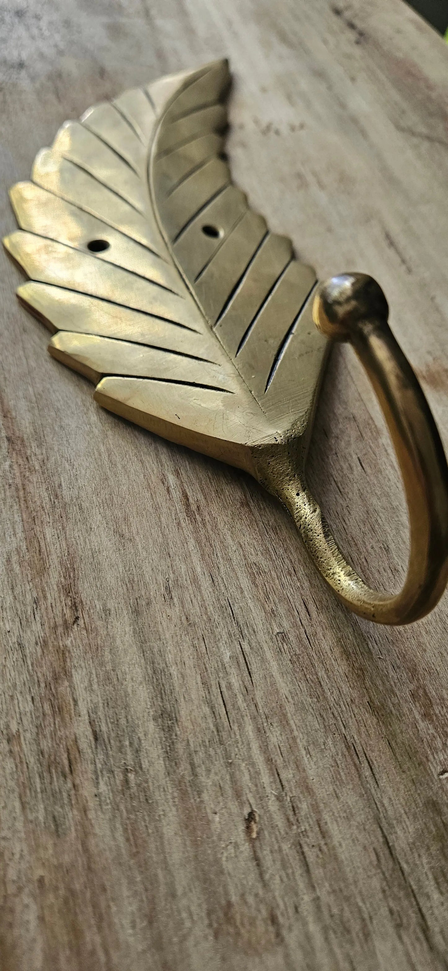 Crochet / Patère murale en forme de feuille en bronze Tokolausanne