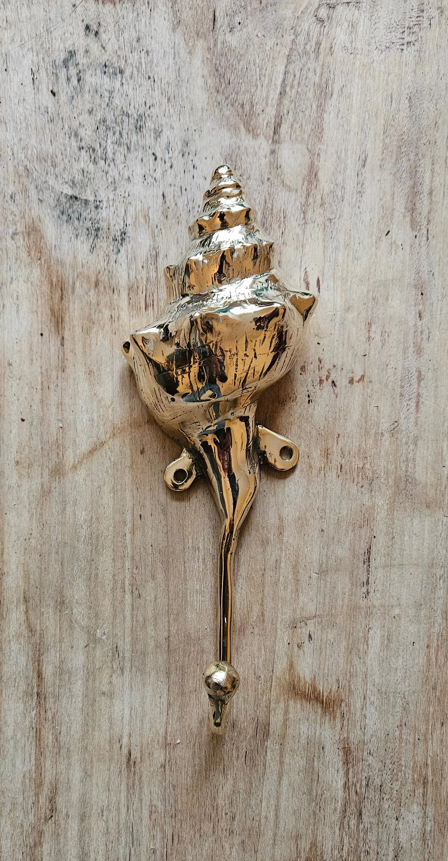 Crochet Mural Coquillage en Bronze - Patère Décorative Marine Tokolausanne