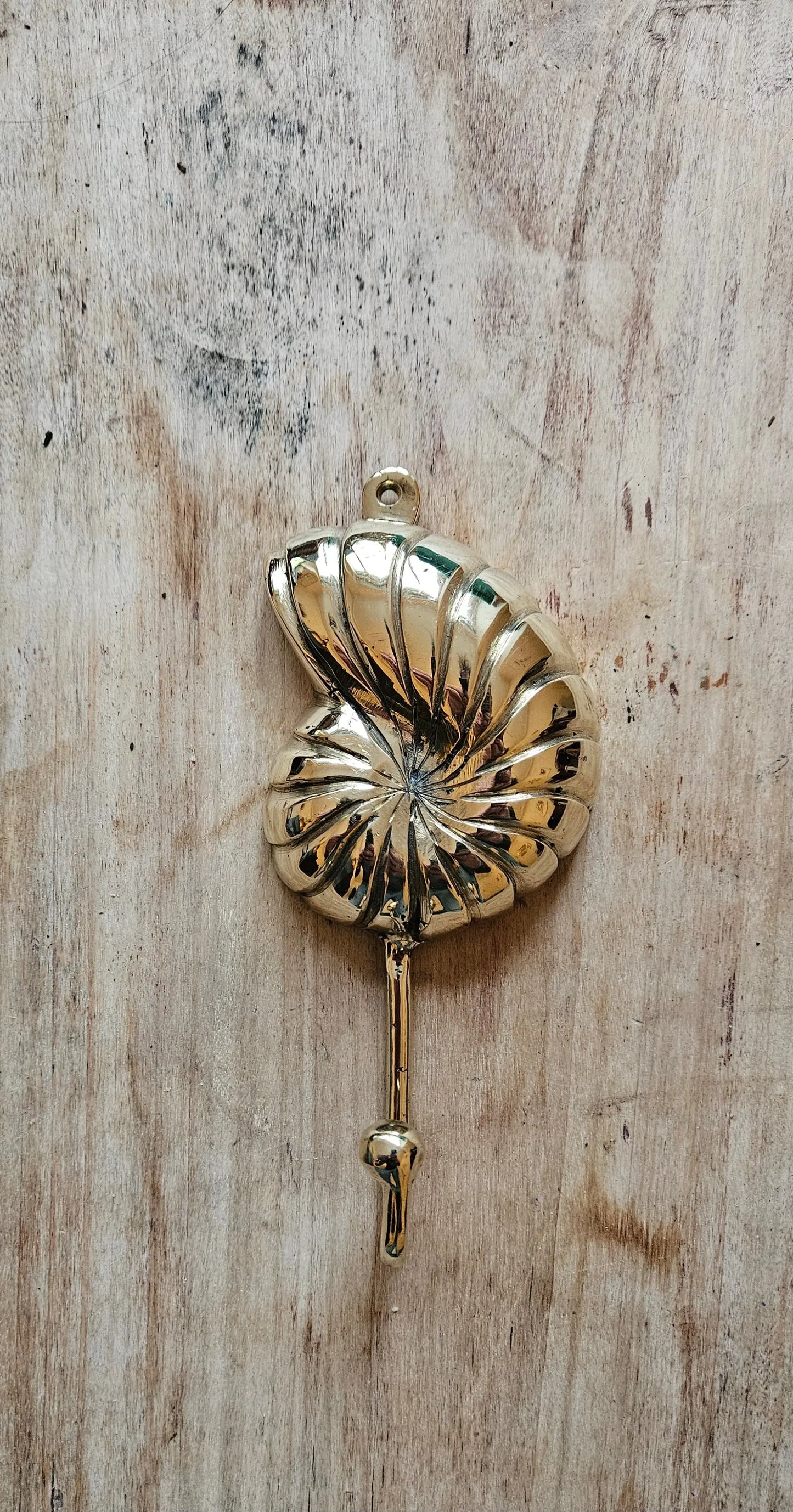 Patère Coquillage en Style Nautique - Crochet Mural Décoratif Tokolausanne