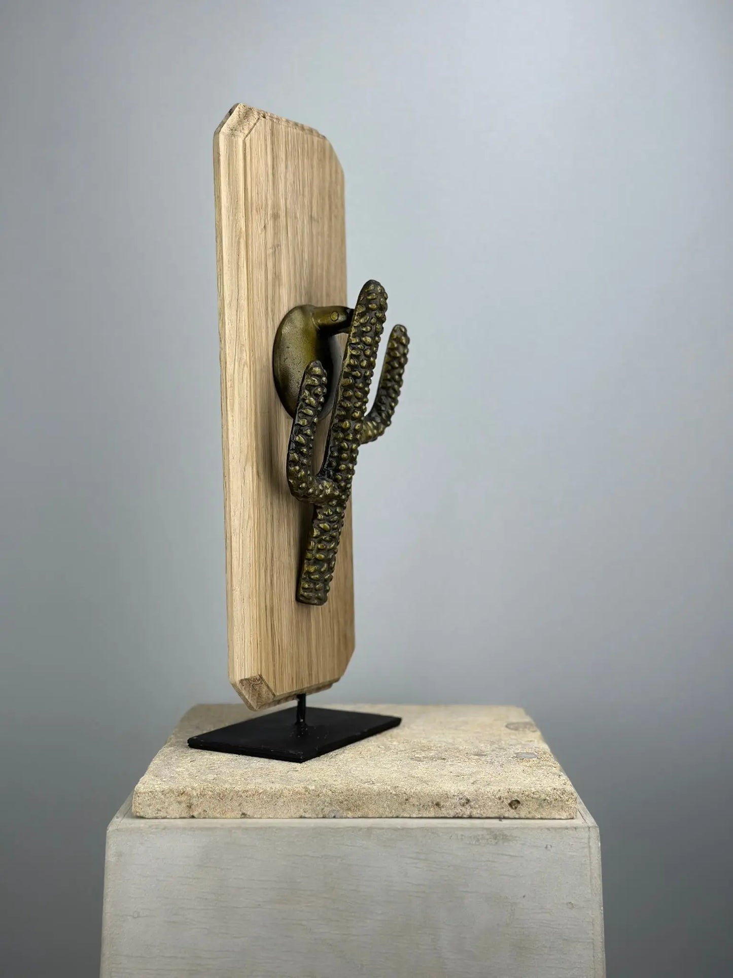 Heurtoir de porte Le Cactus Saguaro