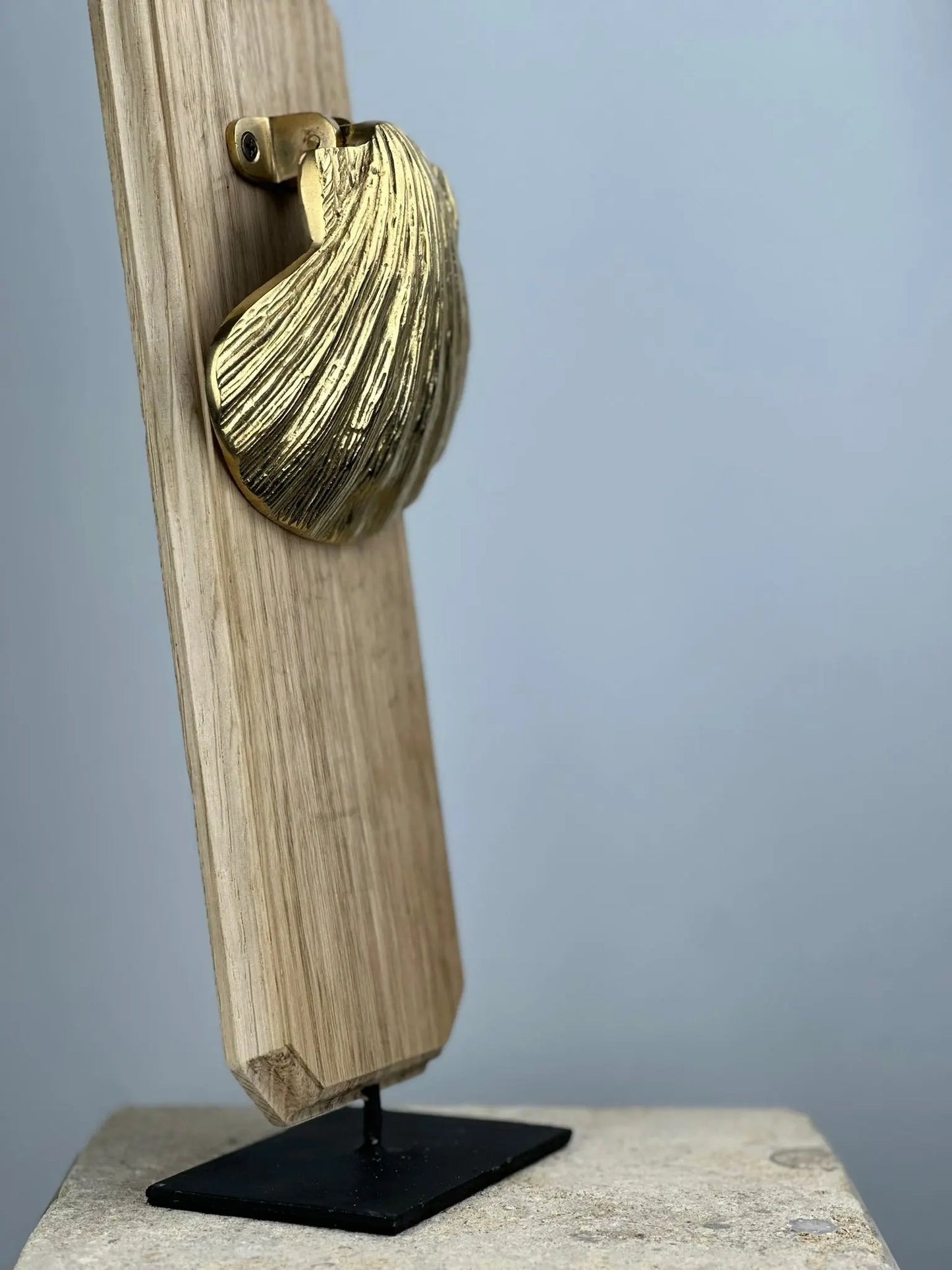 Heurtoir de porte Coquille Saint-Jacques en Bronze
