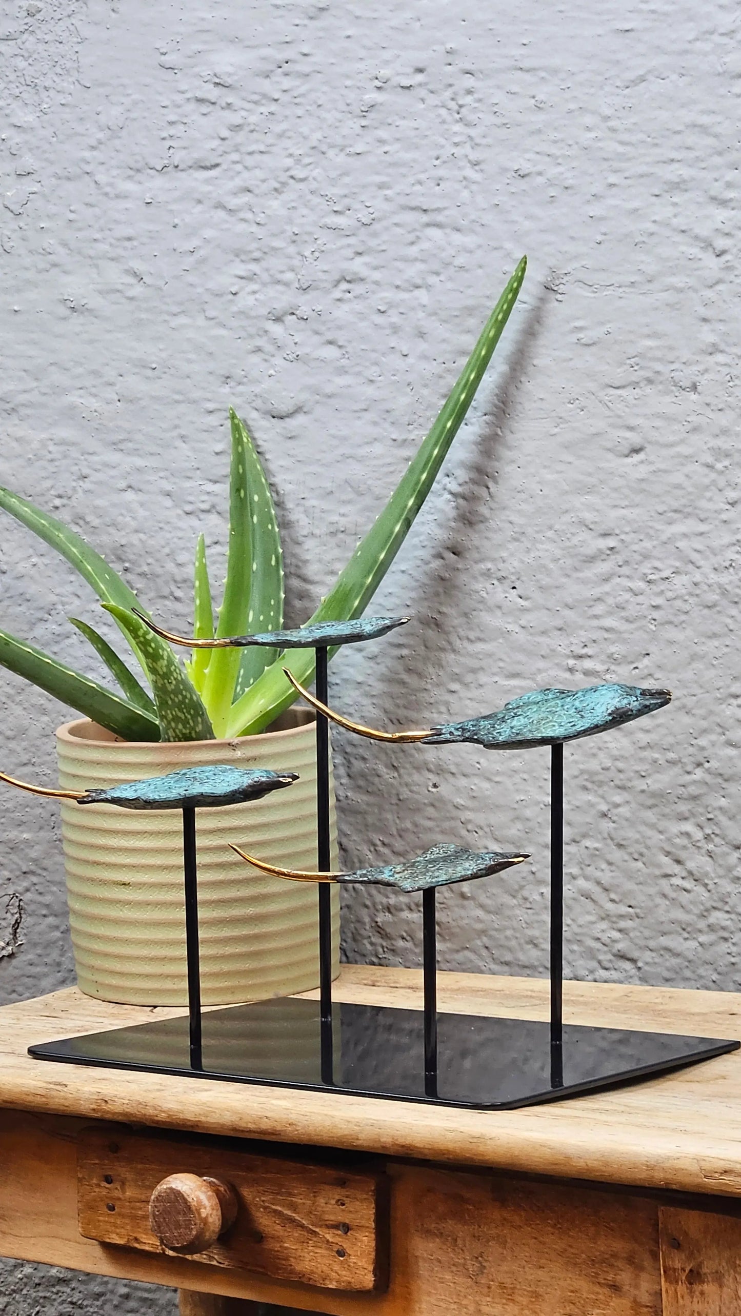 Sculpture quatuor Raies Manta en Bronze Tokolausanne