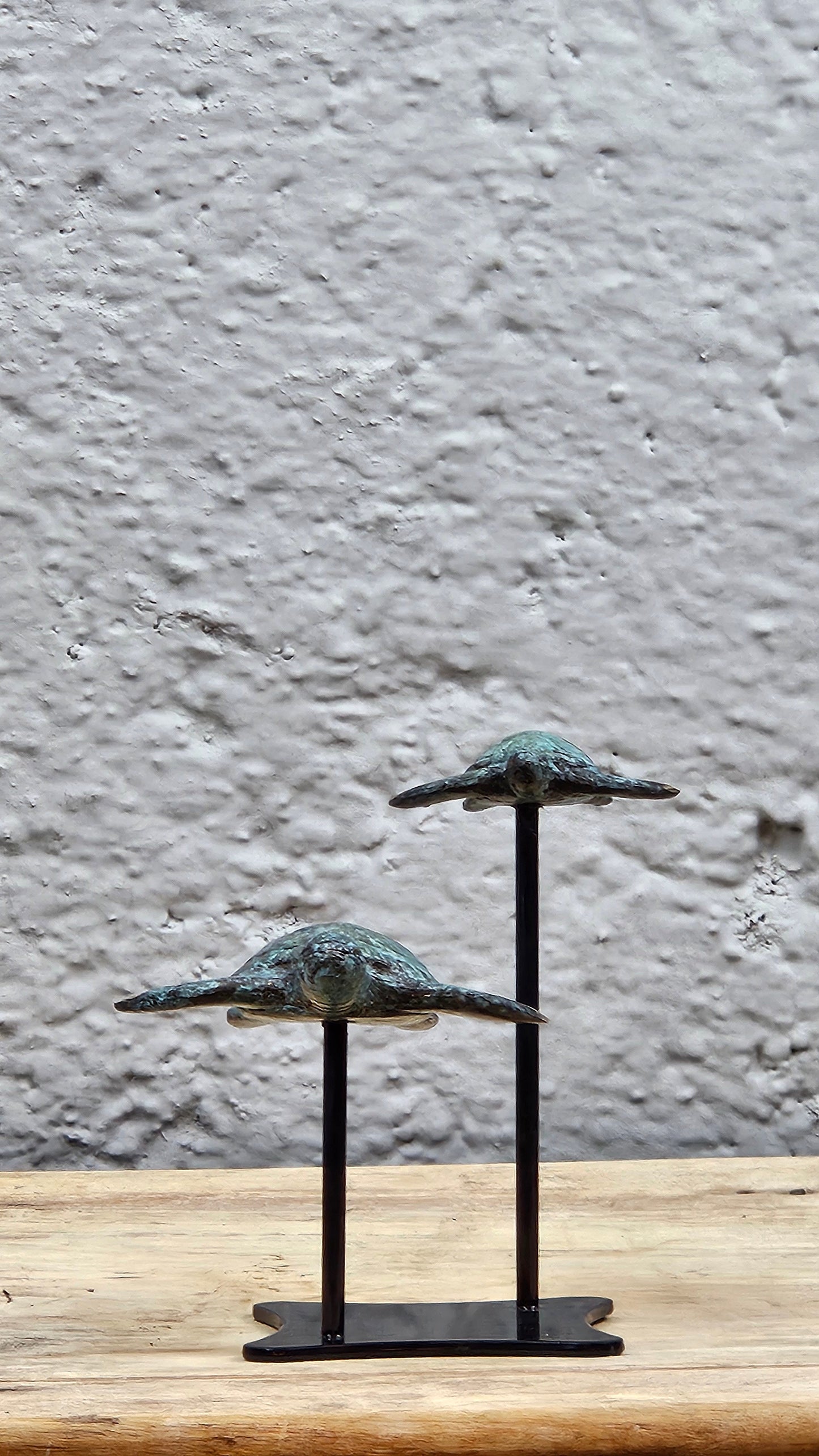 Duo de tortue en bronze Tokolausanne