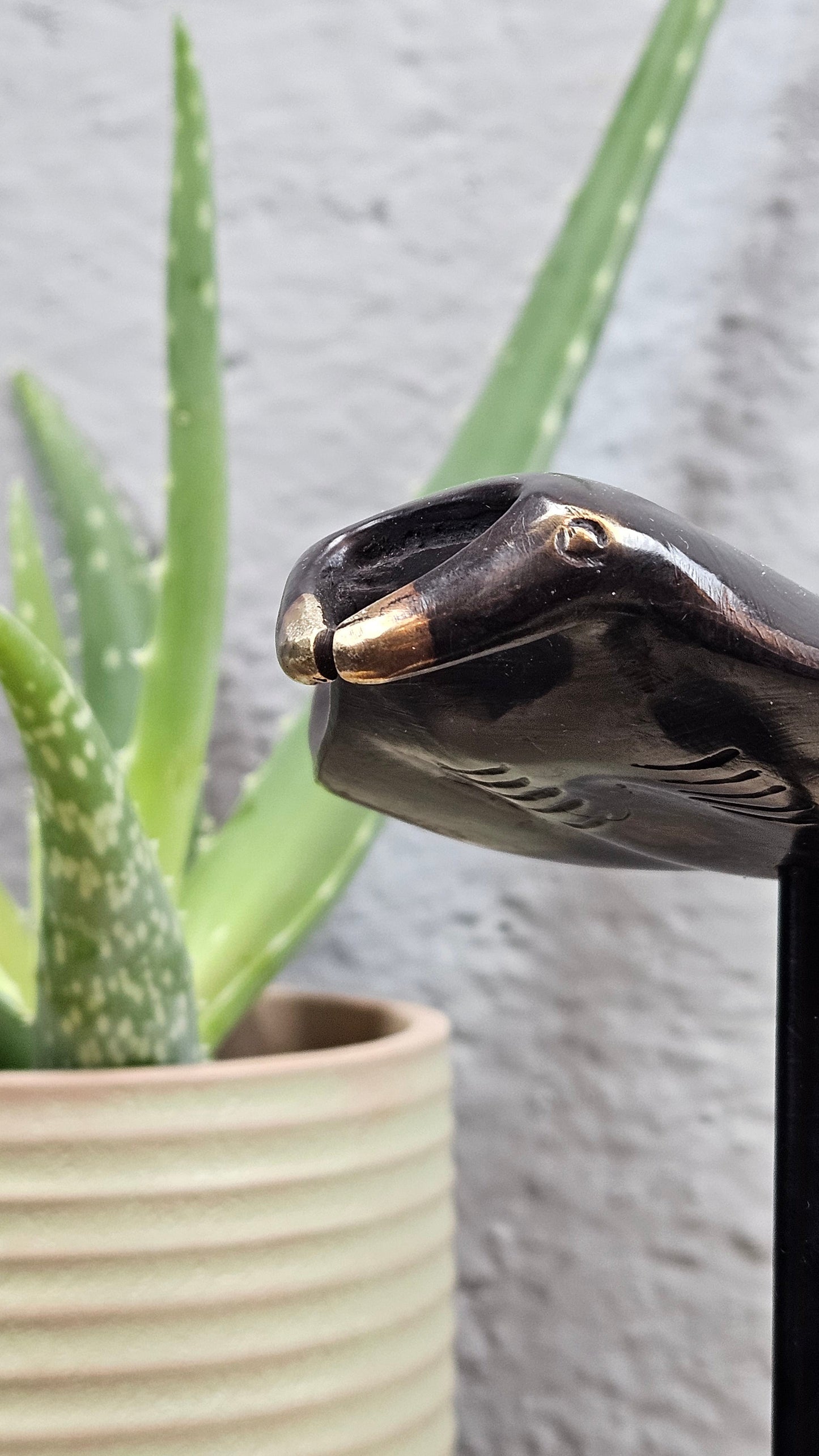 Raie manta en bronze Tokolausanne