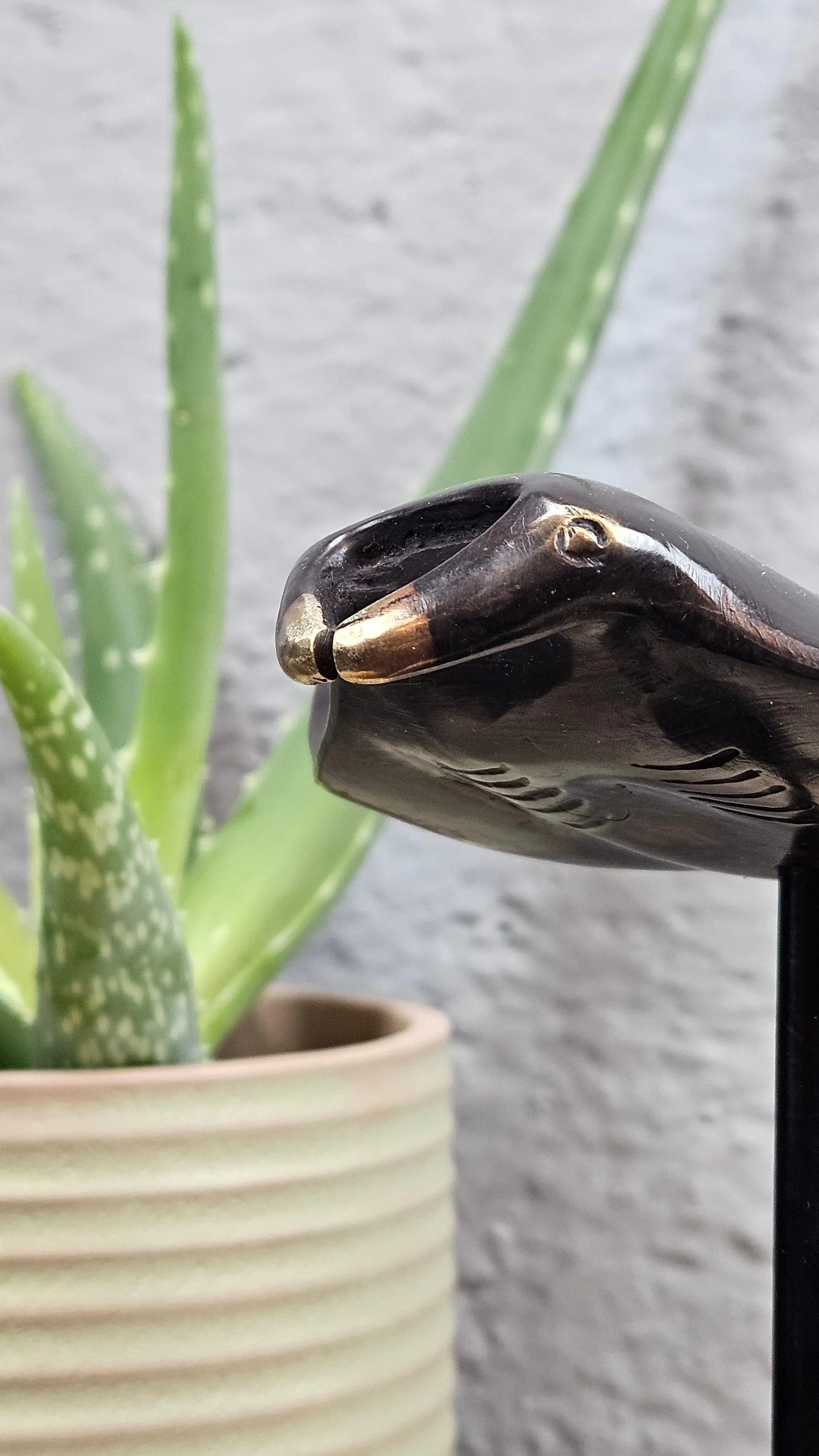 Sculpture Raies Manta en Bronze Tokolausanne