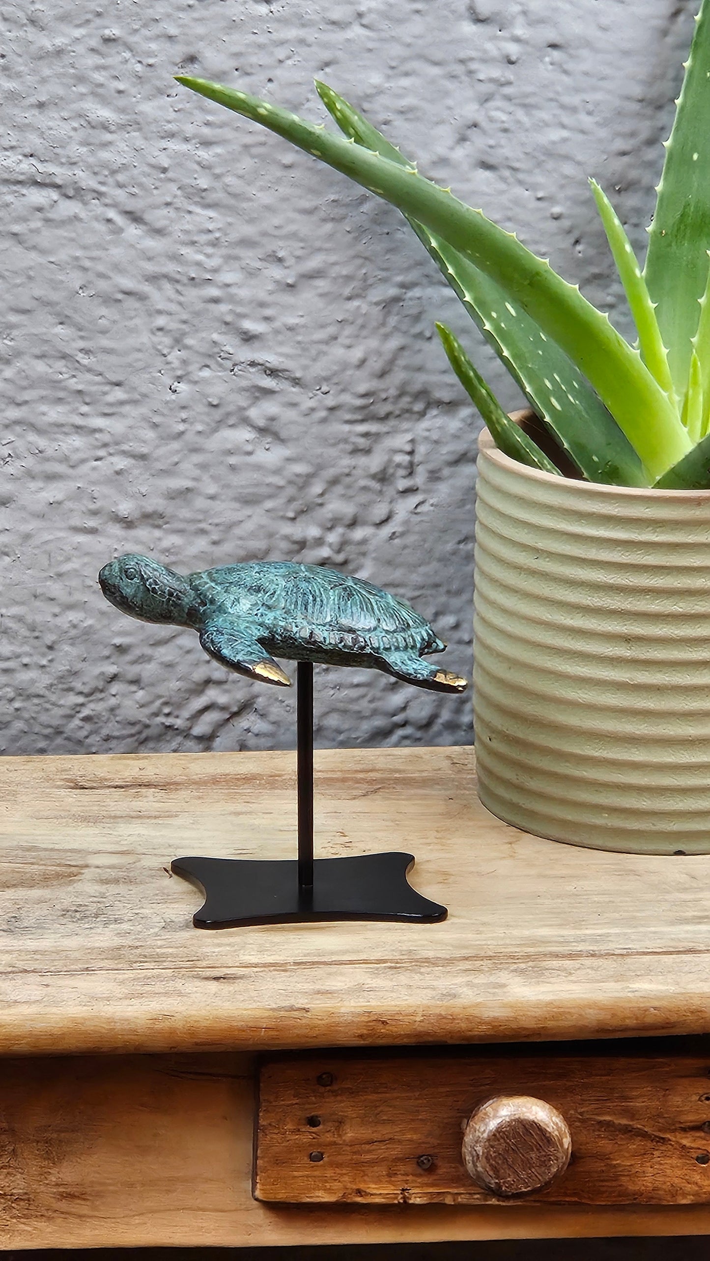 Tortue en bronze Tokolausanne