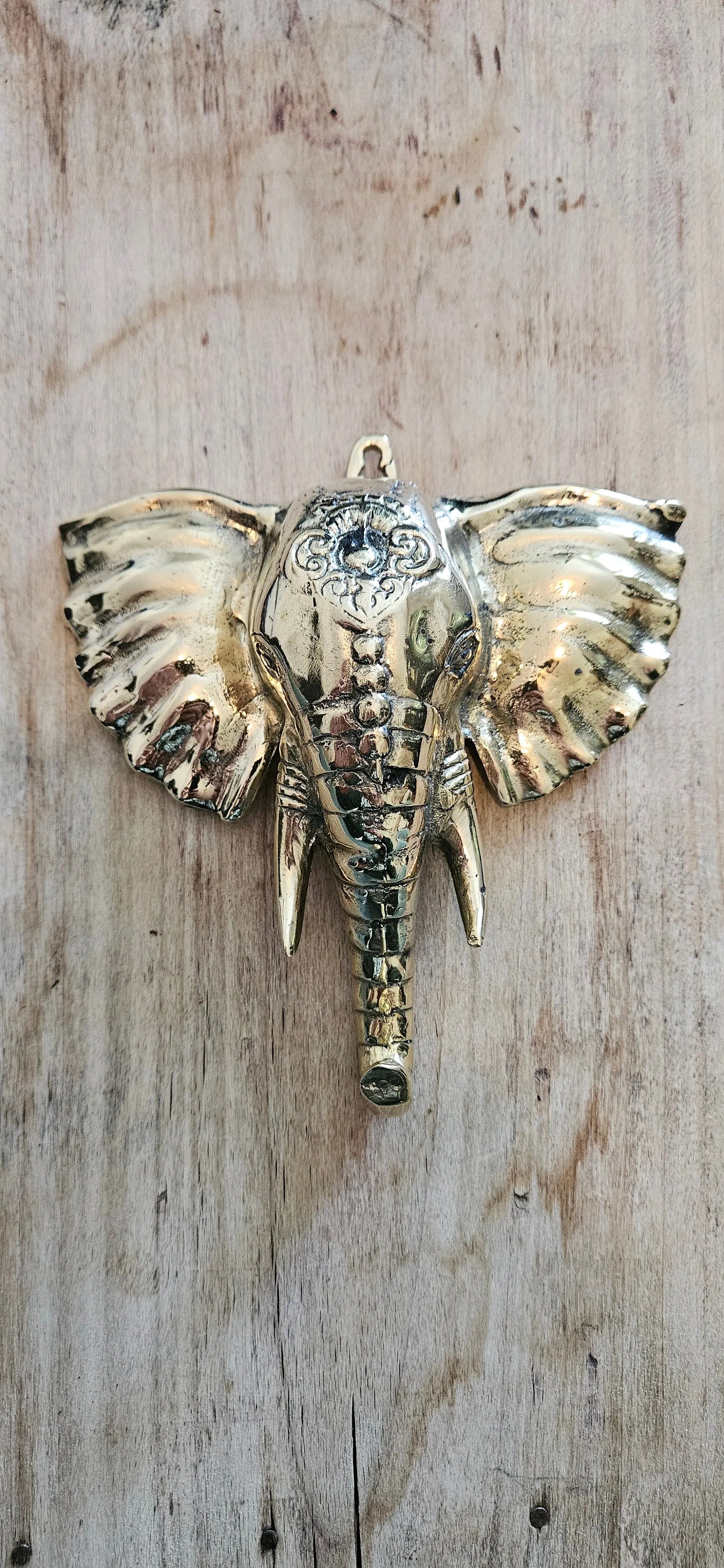 Crochet / Patère Tête d'Éléphant en bronze Tokolausanne