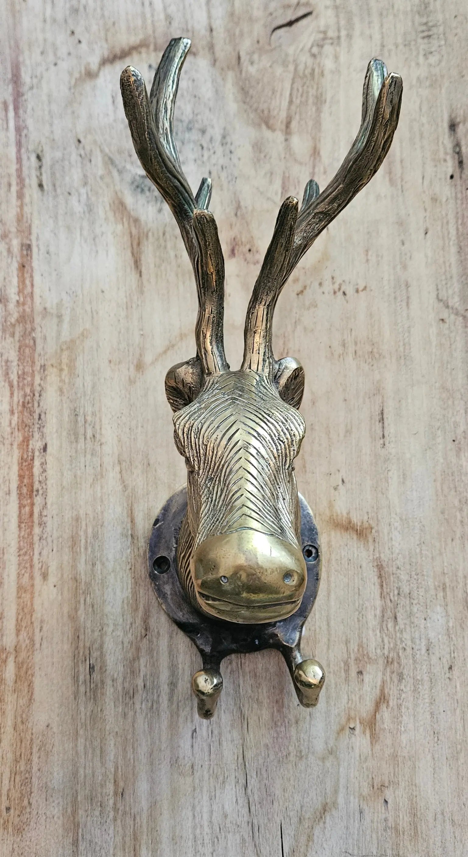 Patère Murale Tête de Cerf en Bronze - Crochet Décoratif Tokolausanne