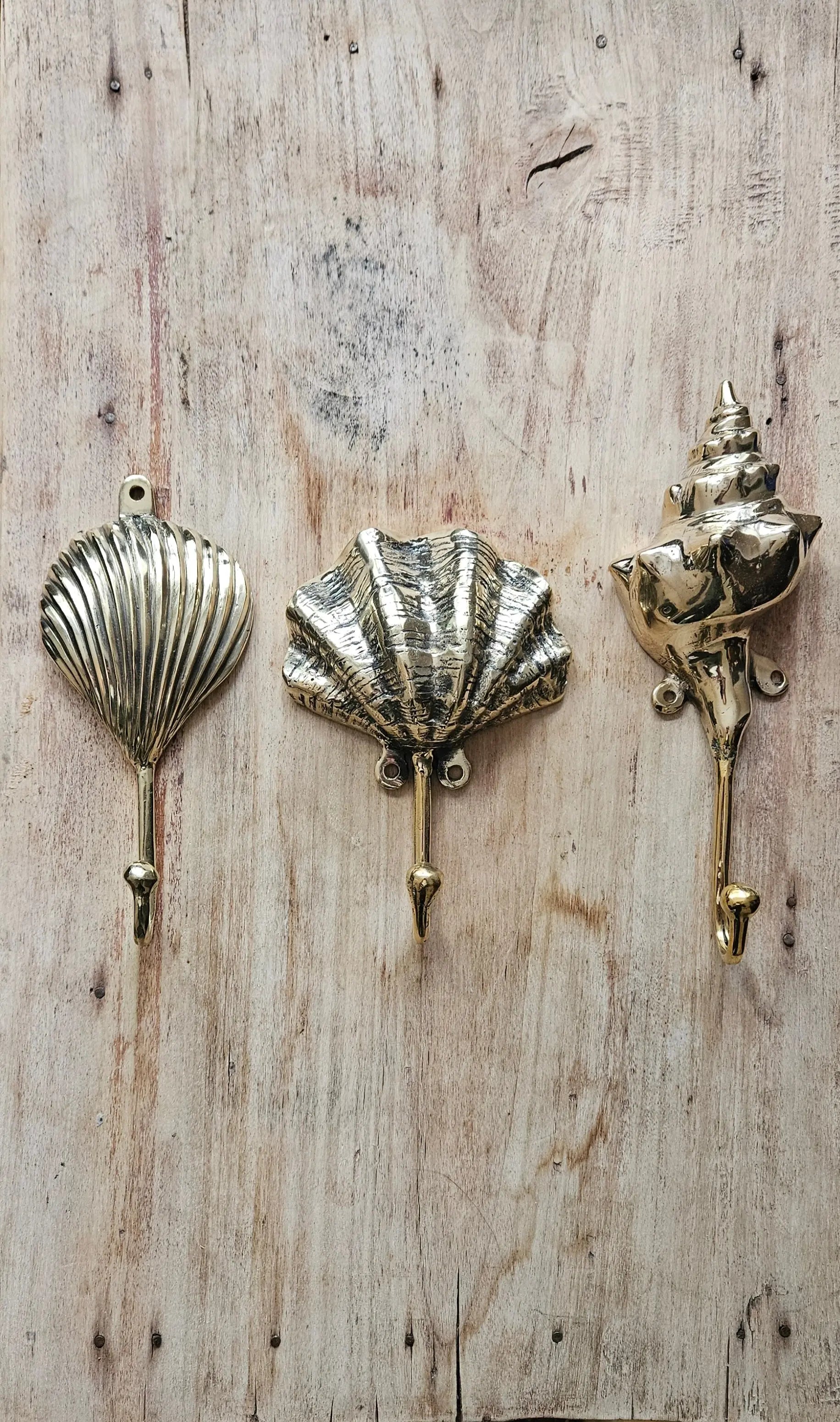 Lot de 3 Patères Coquillages en Bronze - Crochets Décoratifs Maritimes Tokolausanne