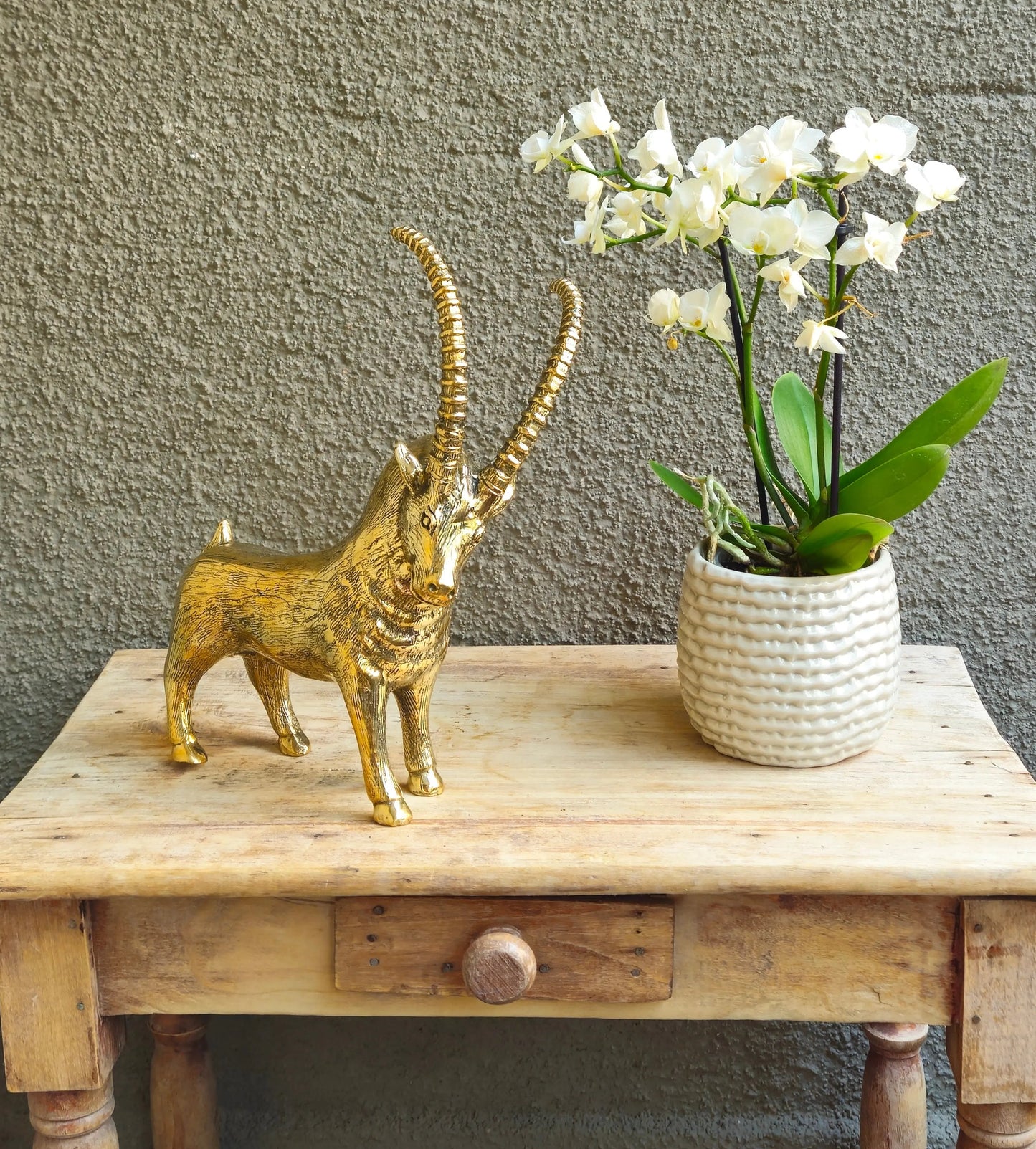 Bouquetin en bronze doré Tokolausanne