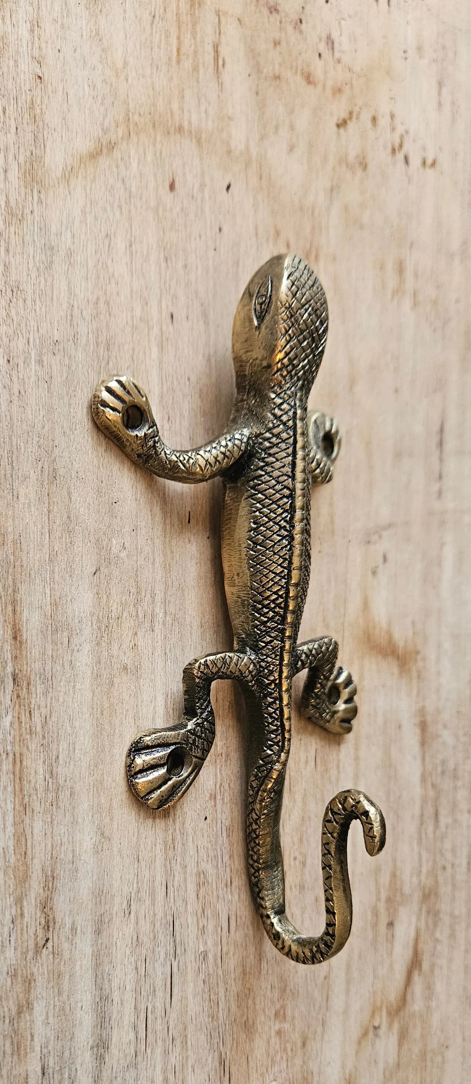 Gecko patere bronze