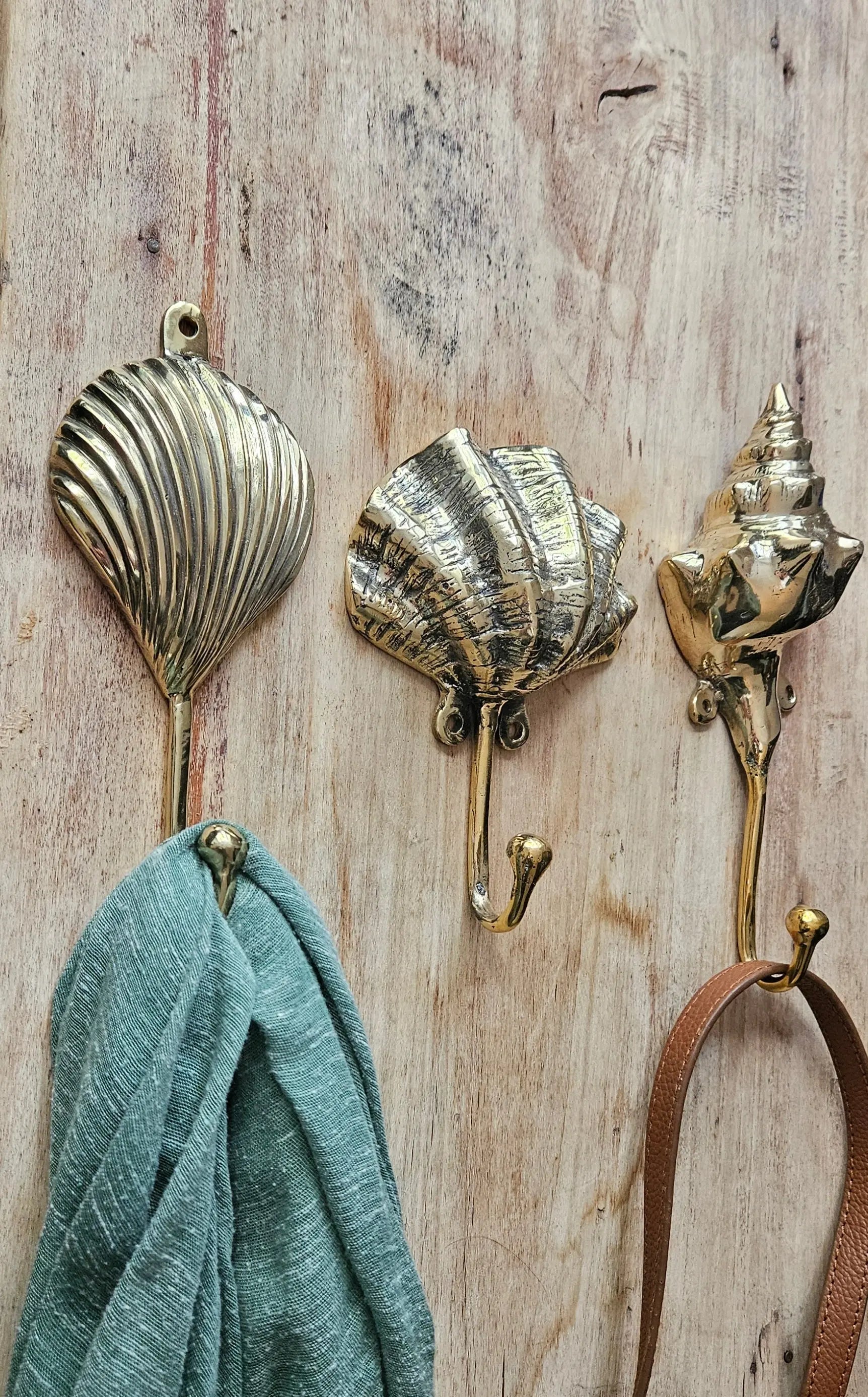 patere coquillages en bronze