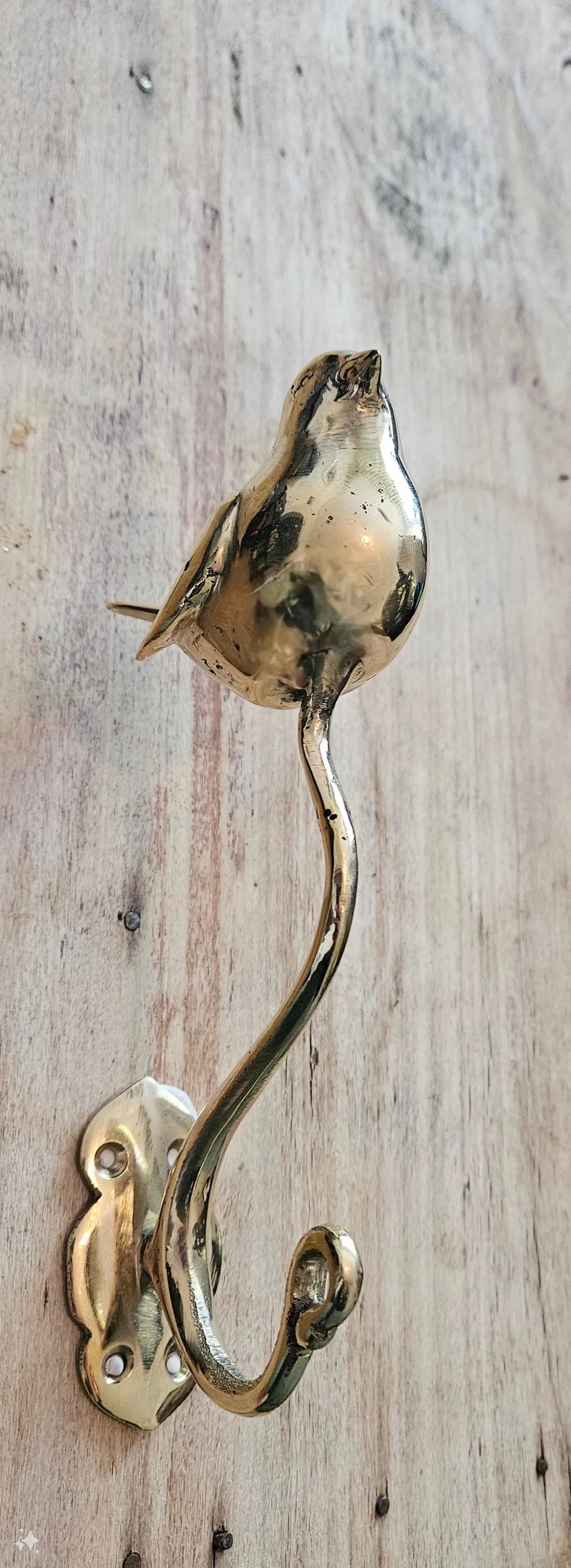 Patere oiseau en bronze
