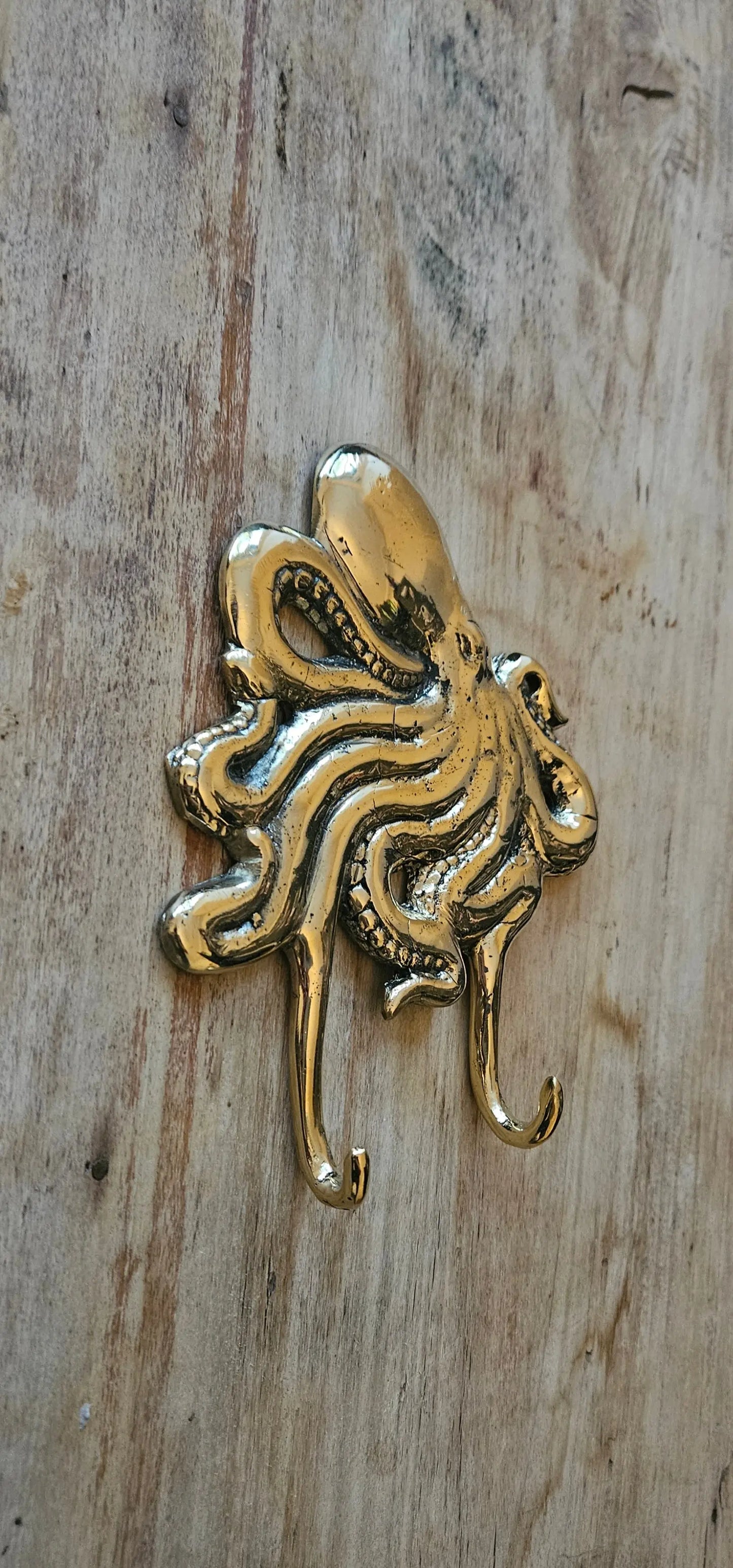 patere bronze en bronze