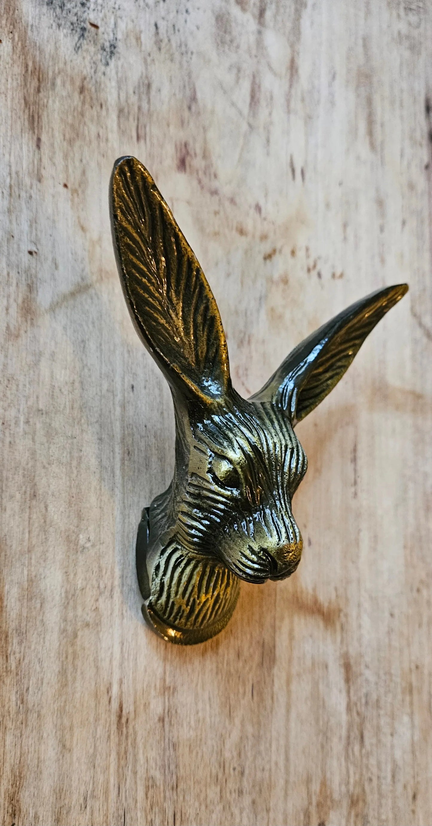 patere tete de lievre en bronze