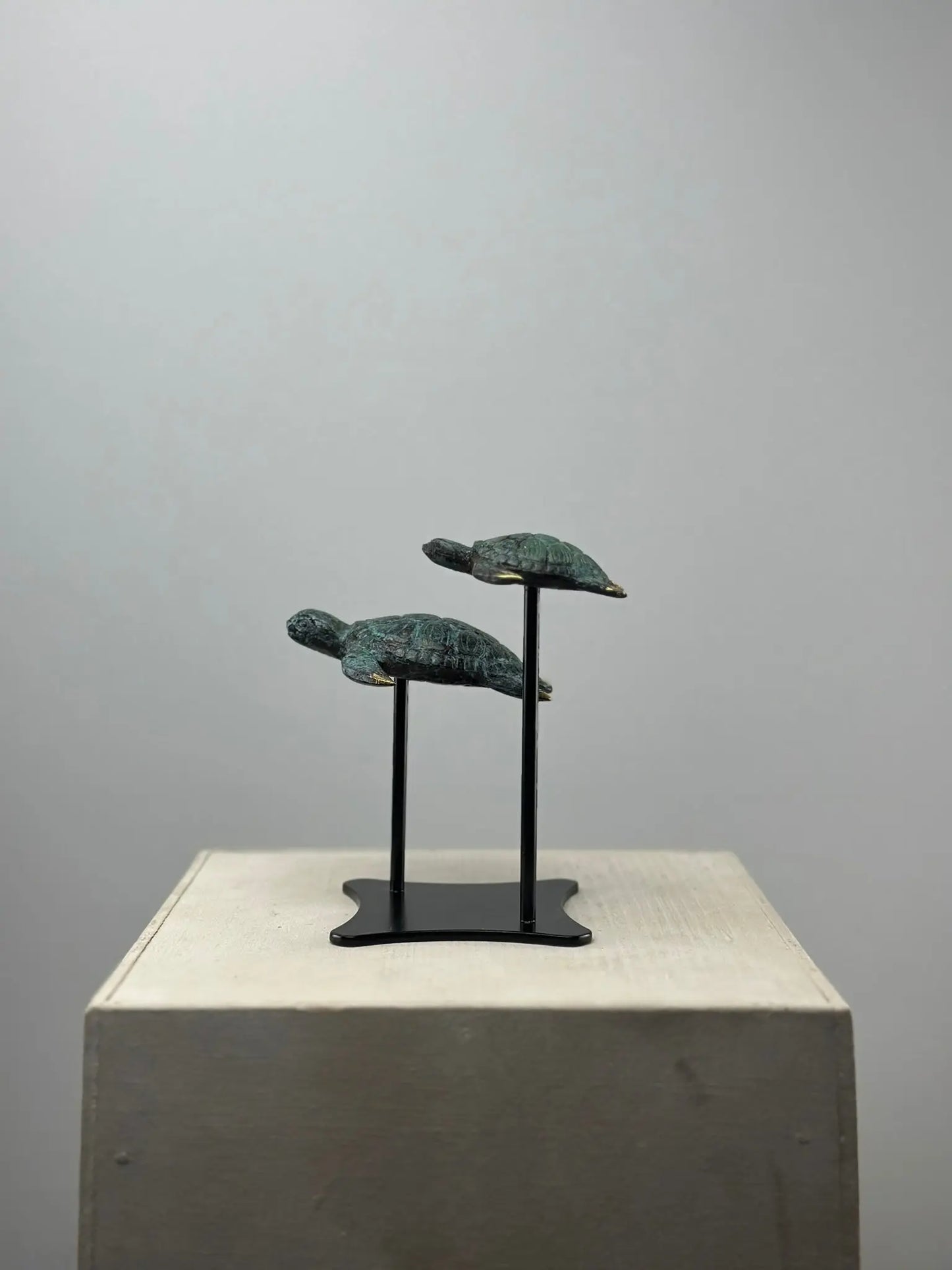 Sculpture marine-Duo Tortues en Bronze