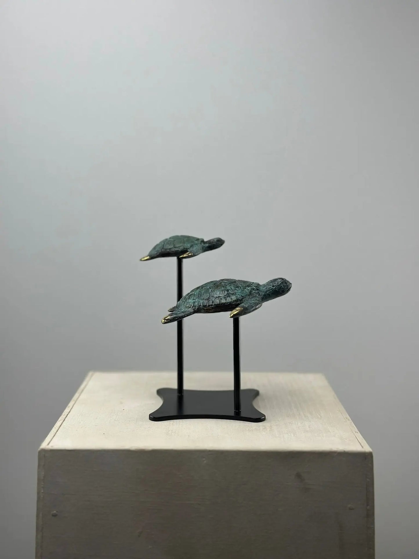 Sculpture marine-Duo Tortues en Bronze