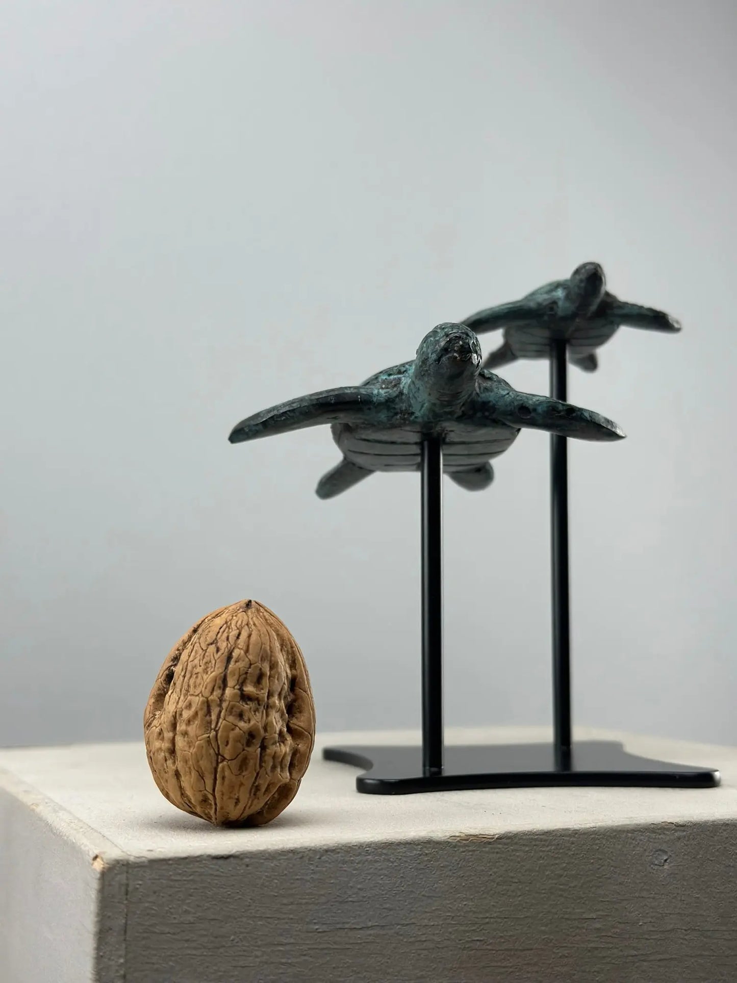 Sculpture marine-Duo Tortues en Bronze
