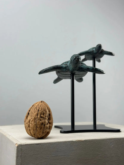 Sculpture marine-Duo Tortues en Bronze