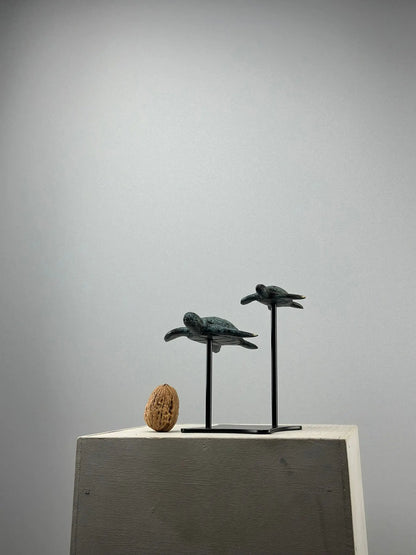 Sculpture marine-Duo Tortues en Bronze