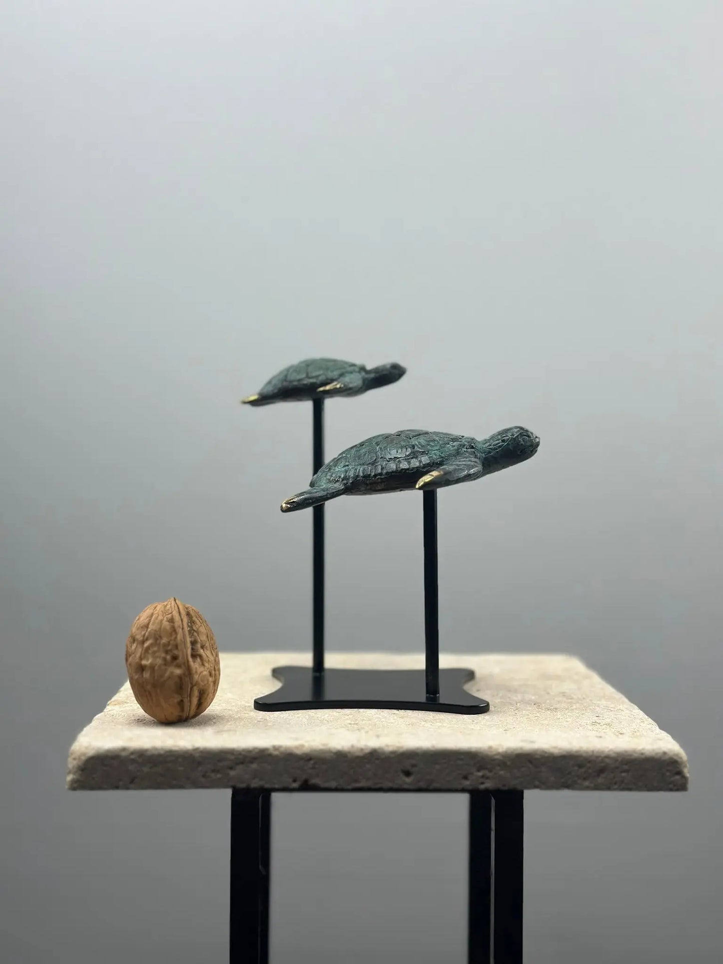 Sculpture marine-Duo Tortues en Bronze