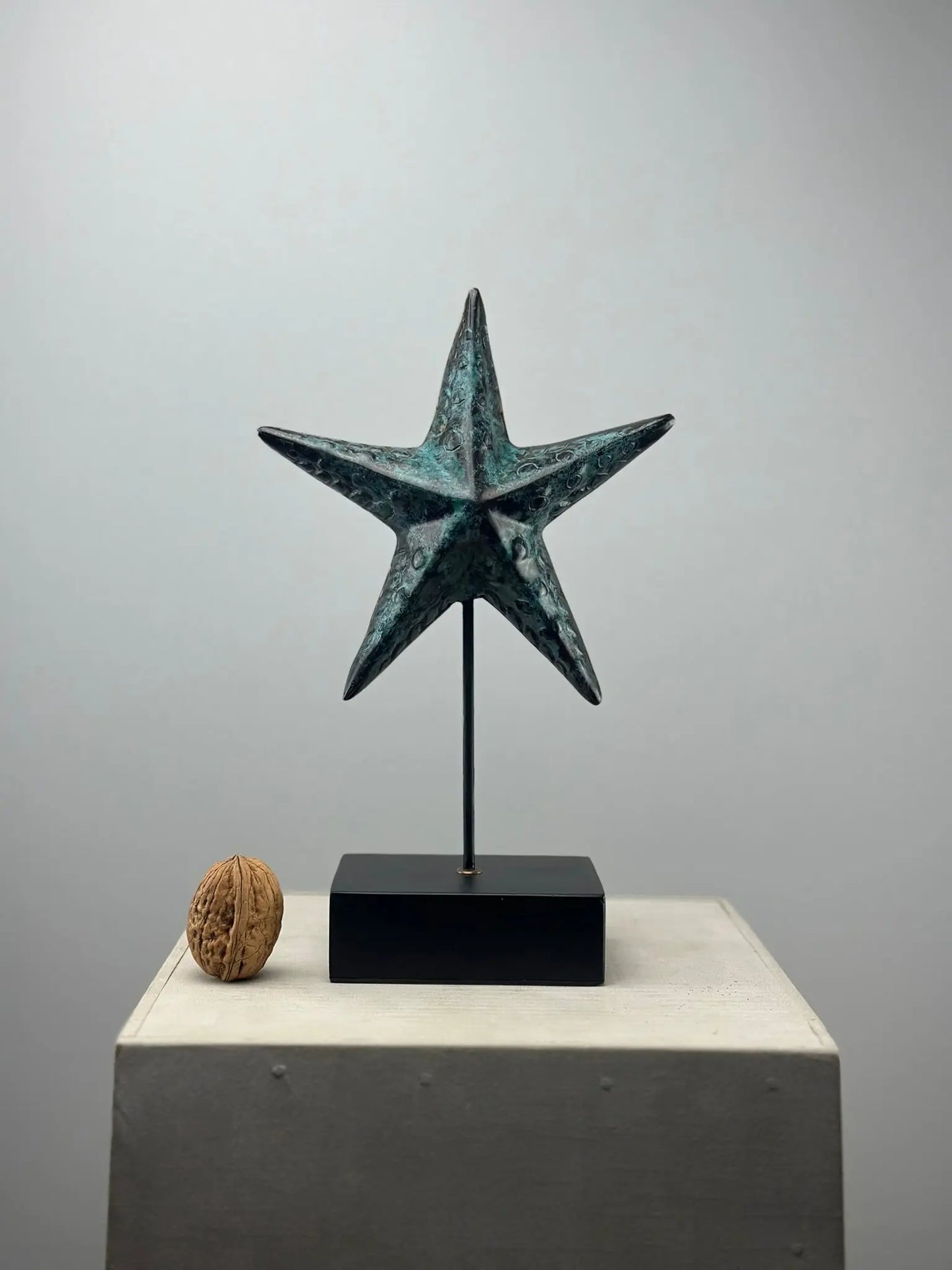 L'Étoile de Mer en Bronze TokoLausanne 