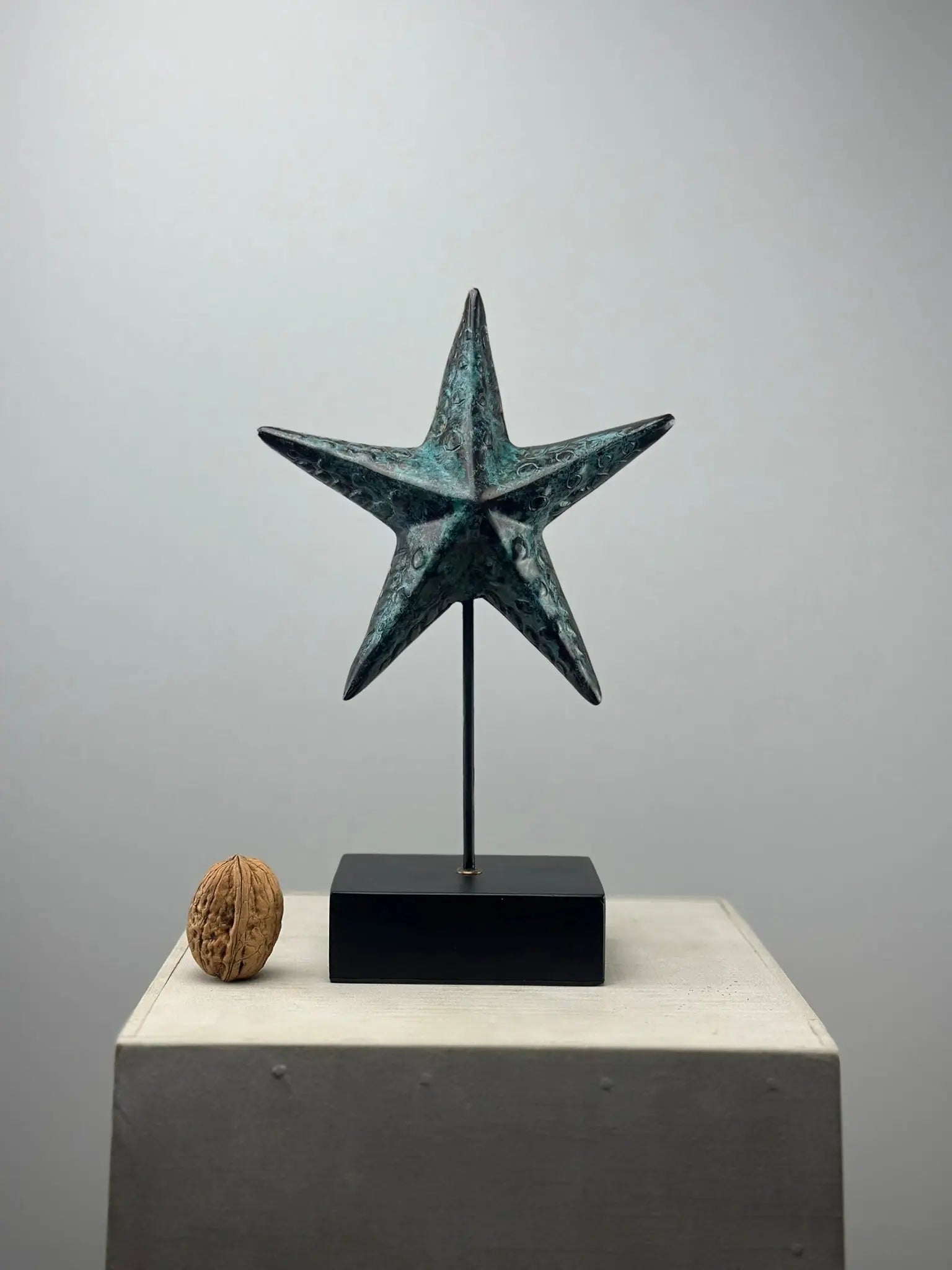 L'Étoile de Mer en Bronze TokoLausanne 
