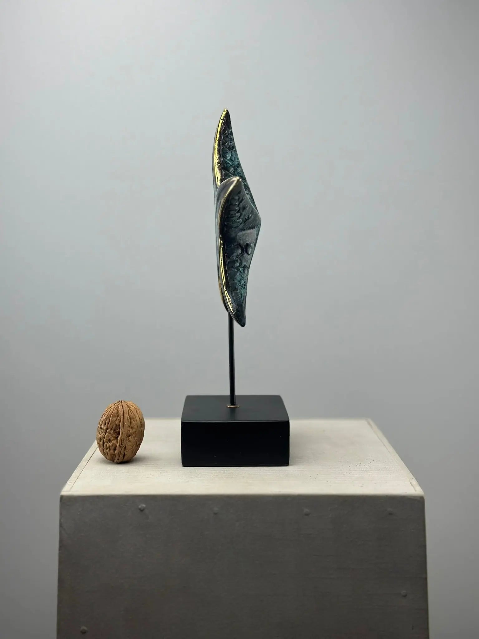 L'Étoile de Mer en Bronze TokoLausanne 