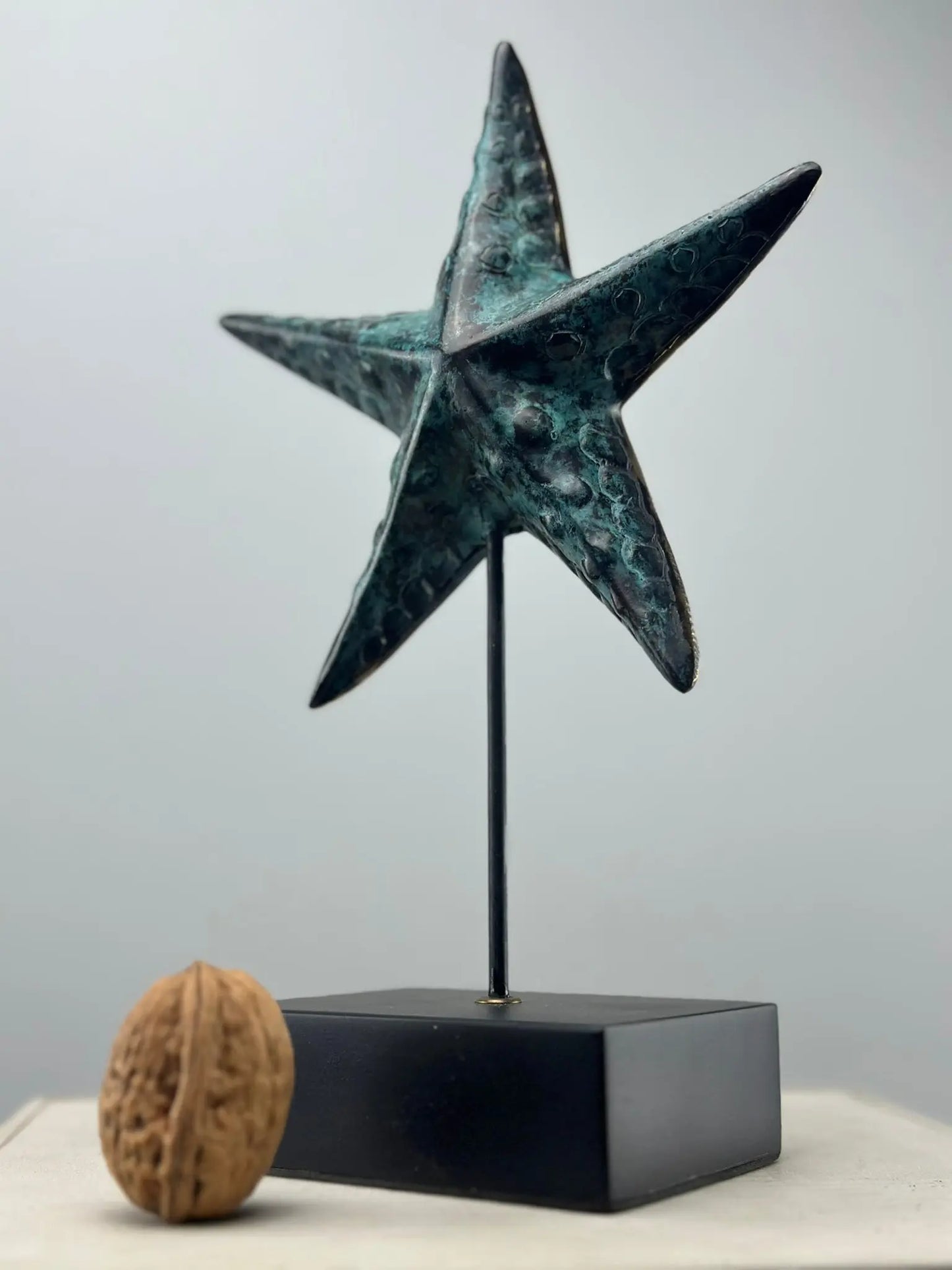L'Étoile de Mer en Bronze TokoLausanne 