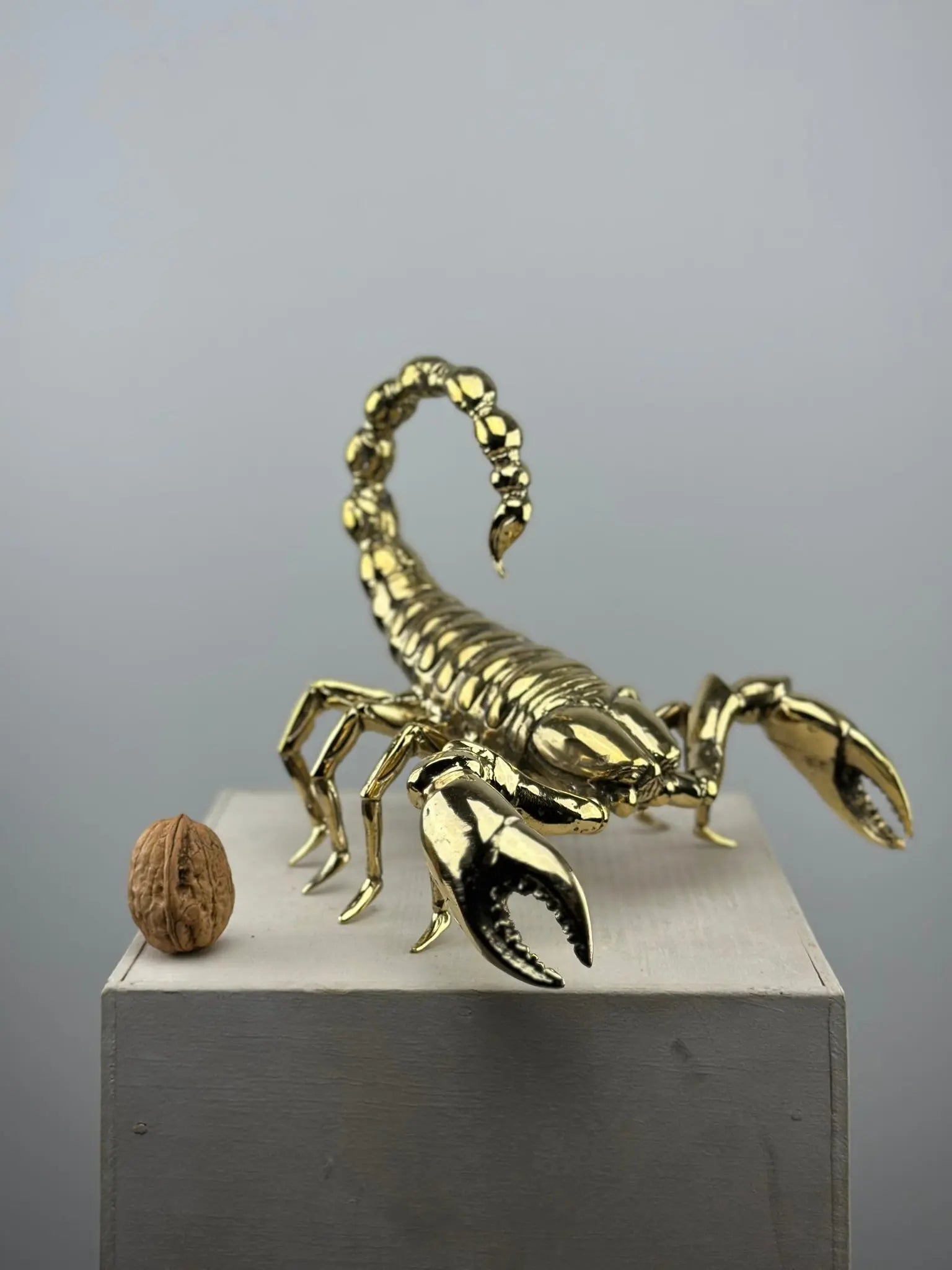 Le Scorpion Doré en Bronze TokoLausanne 