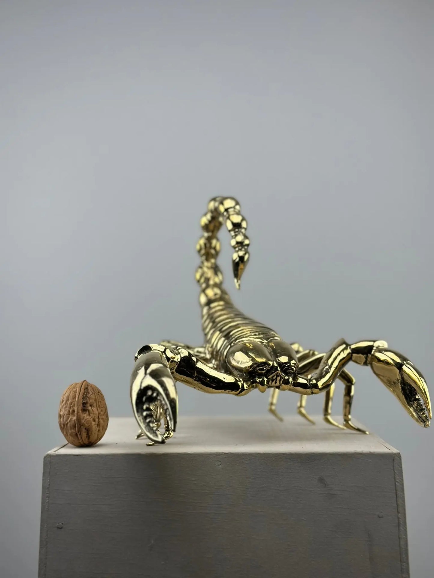 Le Scorpion Doré en Bronze TokoLausanne 