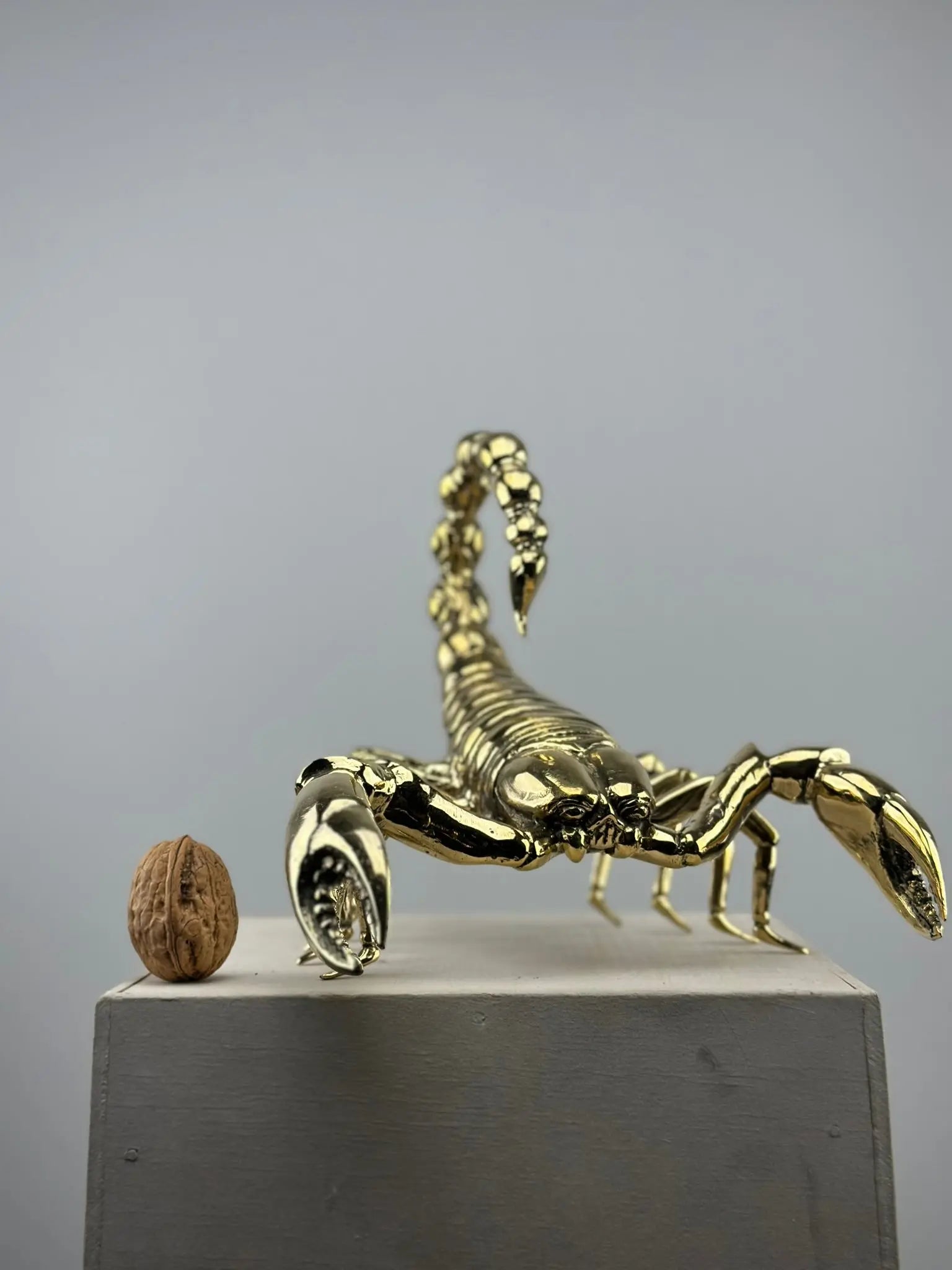 Le Scorpion Doré en Bronze TokoLausanne 