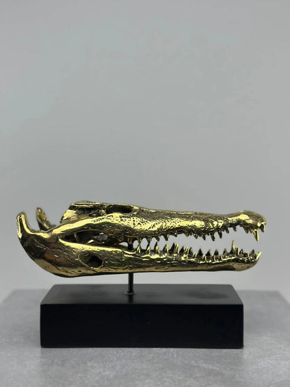 Le crâne de crocodile en bronze TokoLausanne 