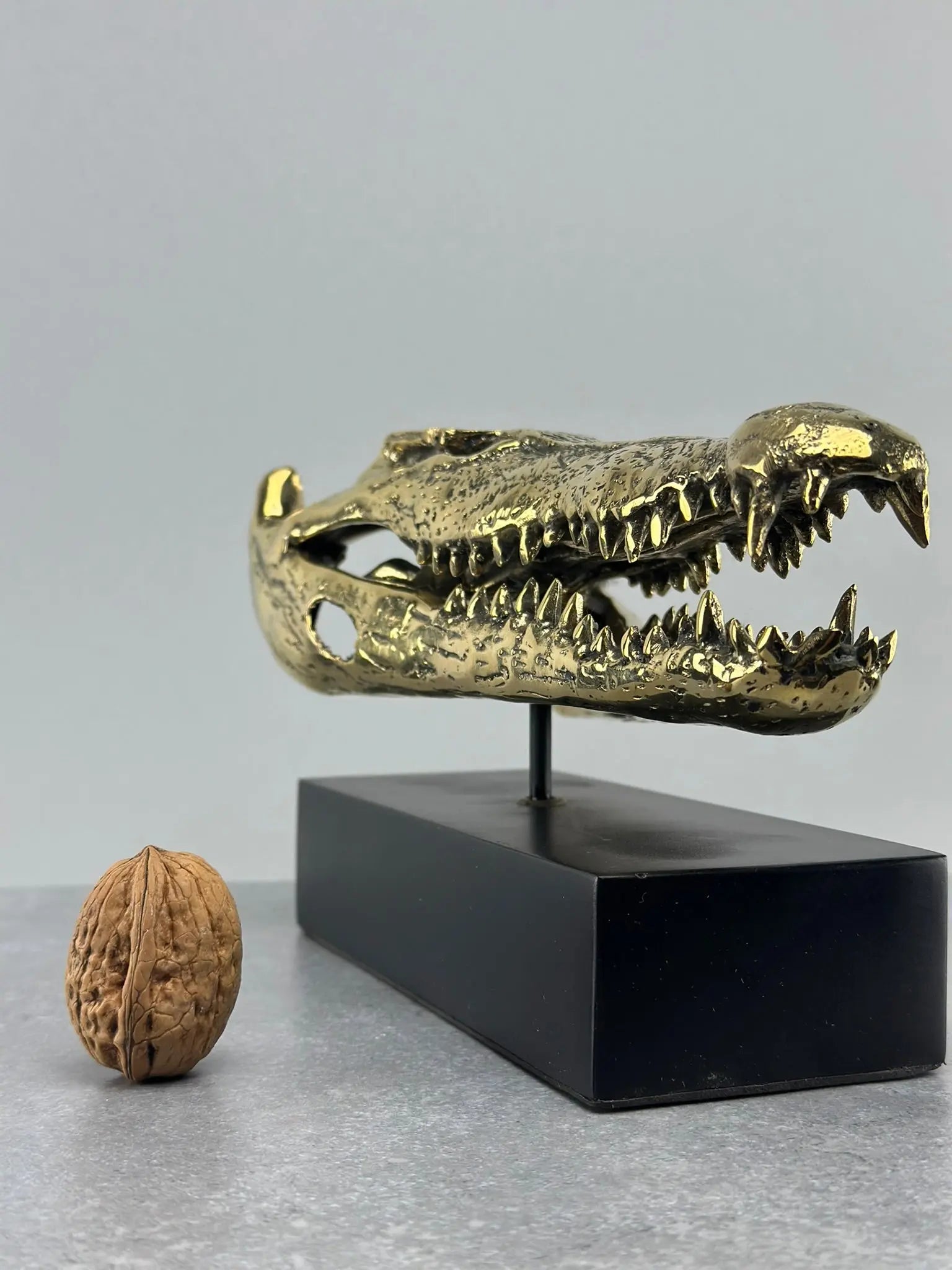 Le crâne de crocodile en bronze TokoLausanne 