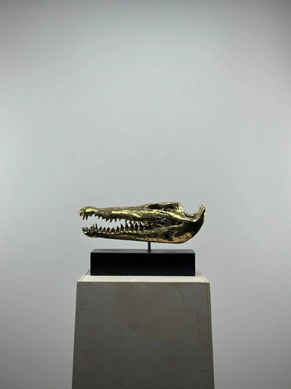 Le crâne de crocodile en bronze TokoLausanne 