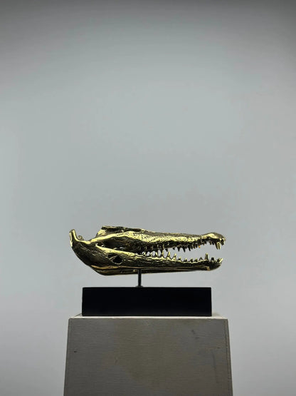 Le crâne de crocodile en bronze TokoLausanne 