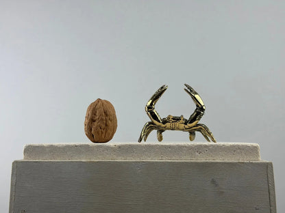 Bronze-Minikrabbe