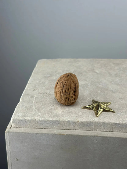 La Mini Étoile de Mer en Bronze