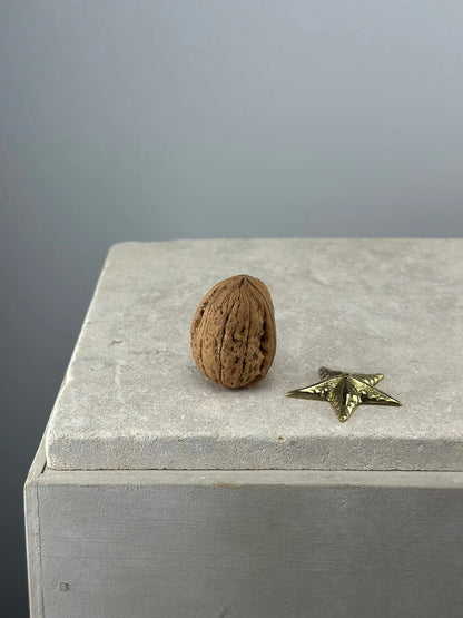 La Mini Étoile de Mer en Bronze