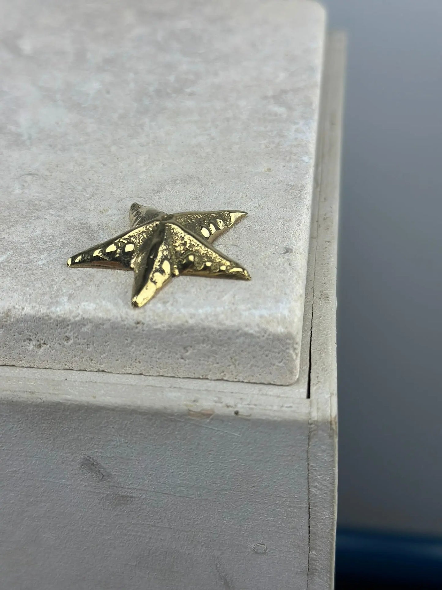 La Mini Étoile de Mer en Bronze