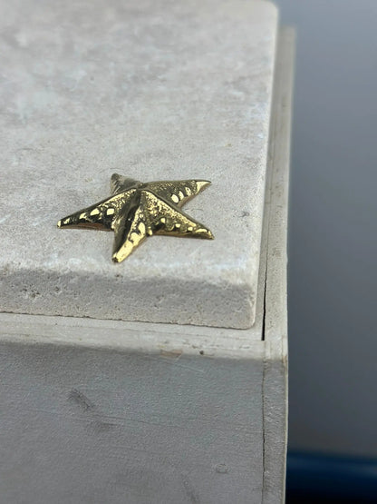 La Mini Étoile de Mer en Bronze