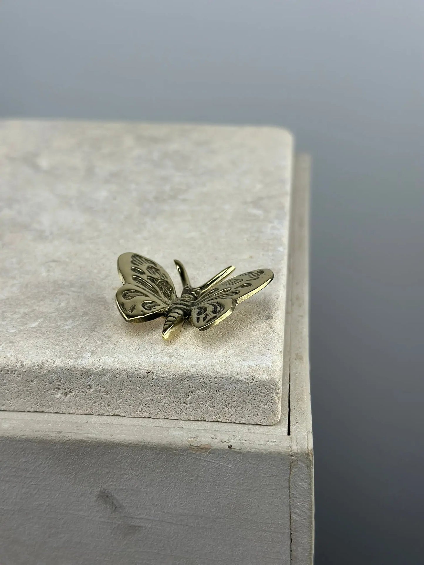 Le Mini Papillon en Bronze