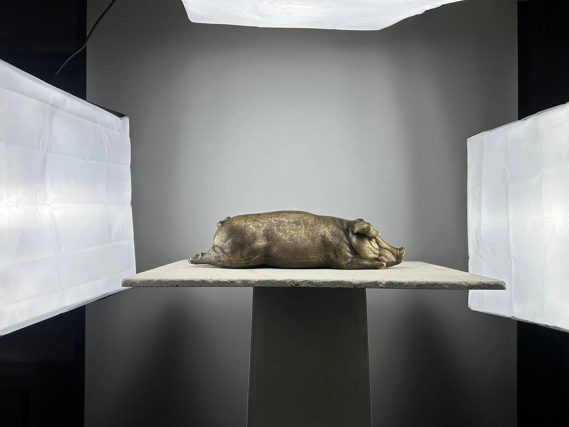Cochon allongé en bronze TokoLausanne 