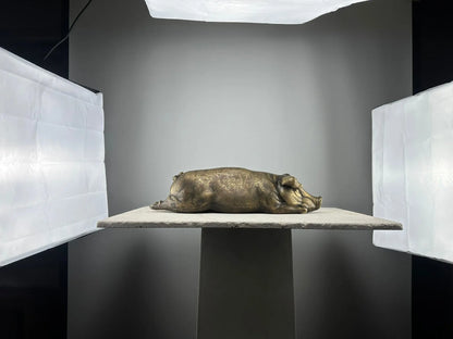 Cochon allongé en bronze TokoLausanne 