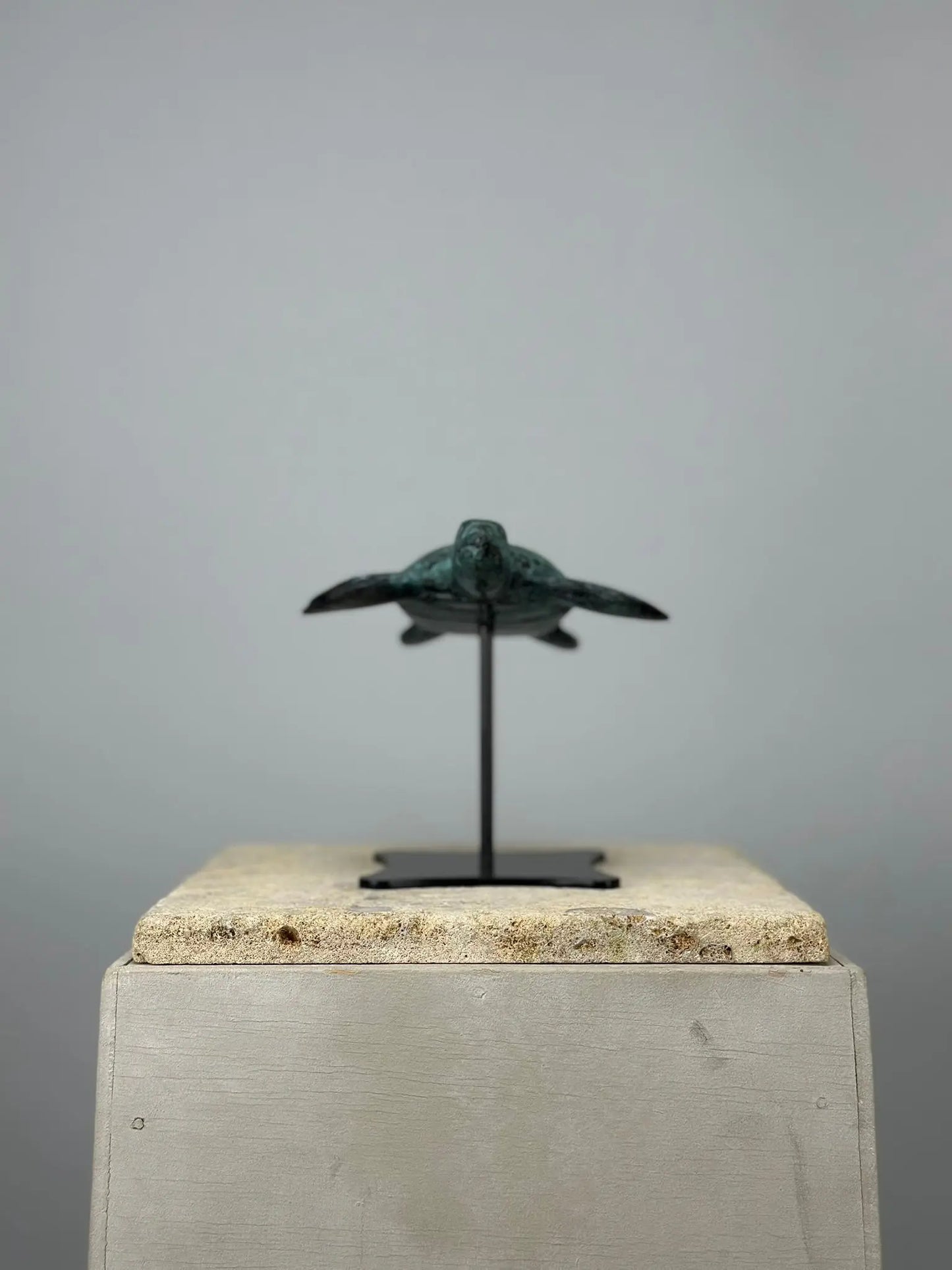 Sculpture Tortue en Bronze