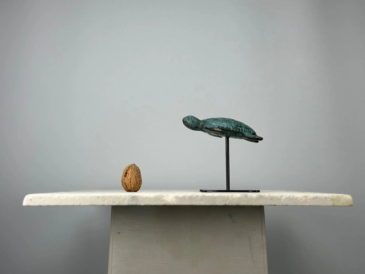 Sculpture Tortue en Bronze