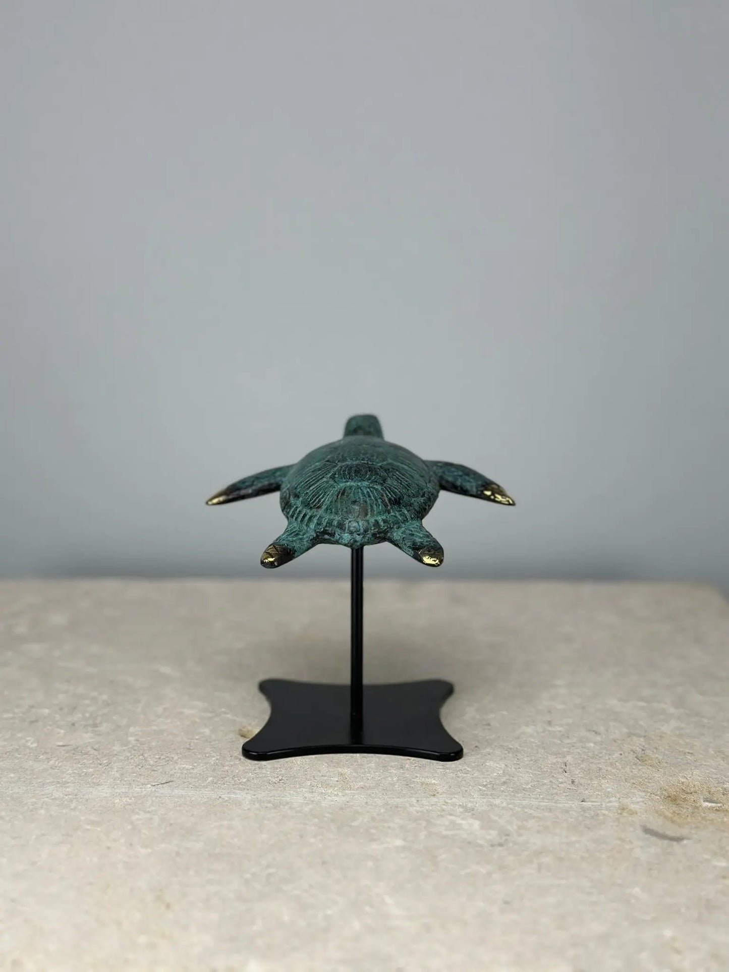 Sculpture Tortue en Bronze